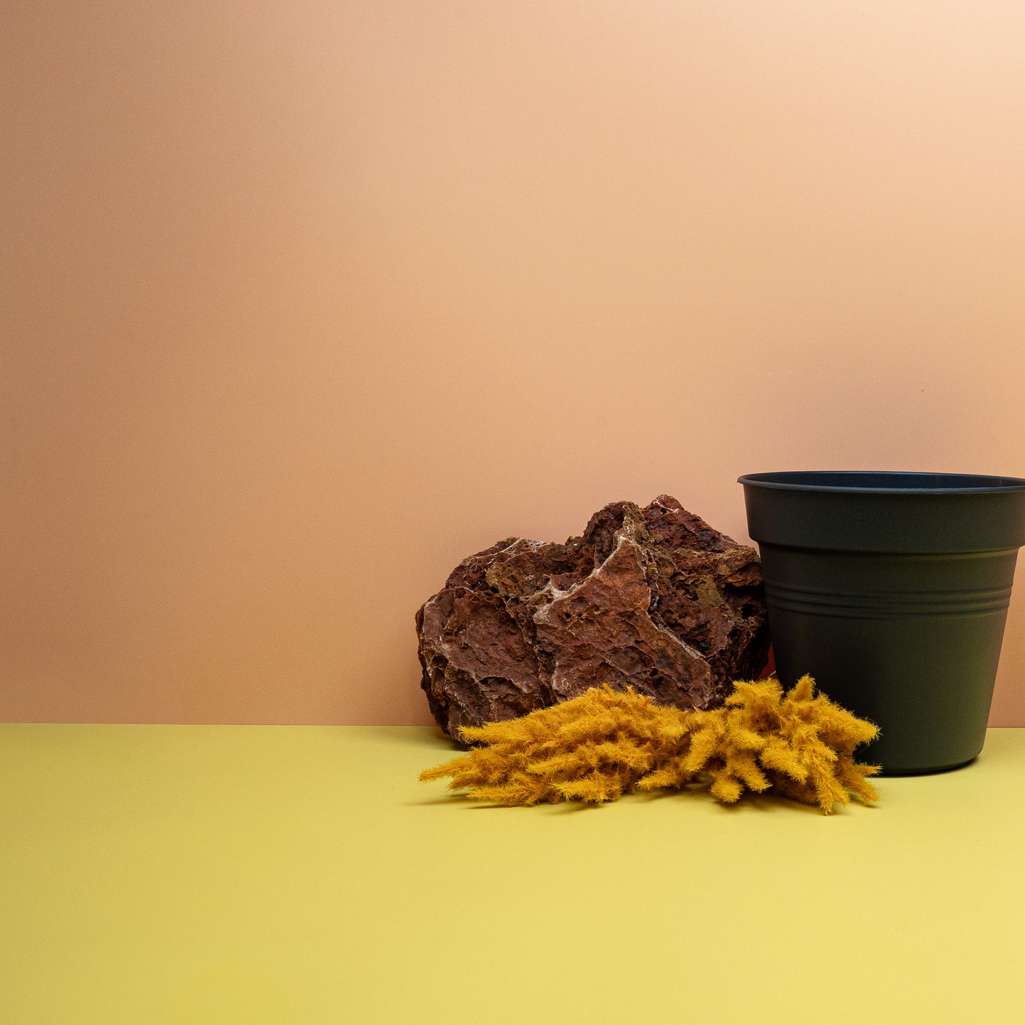 ANZUCHTTOPF - ELHO GREEN BASIC SCHWARZ online bestellen bei potflourri