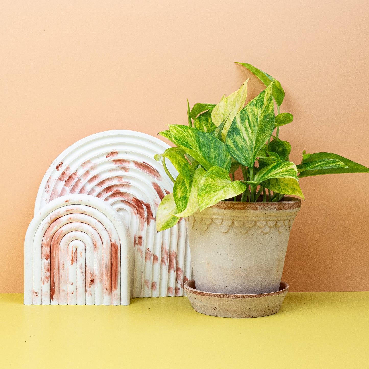 EPIPREMNUM NJOY GOLD online bestellen bei potflourri