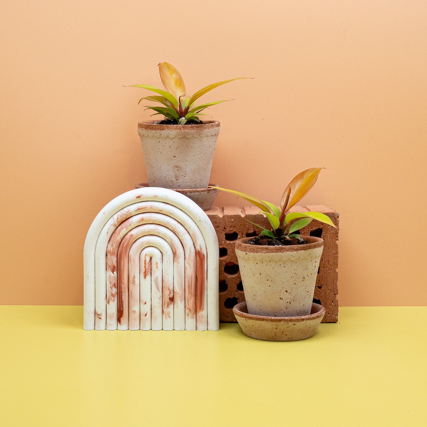 PHILODENDRON PRINCE OF ORANGE