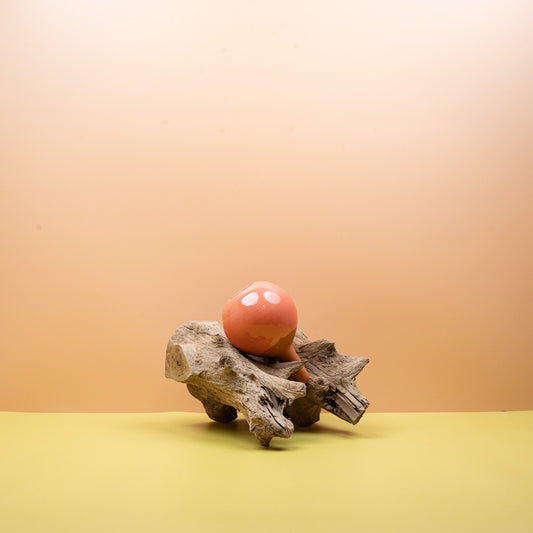 SELBSTBEWÄSSERUNG - LUTTON OLLA PFIRSICHROSA online bestellen bei potflourri