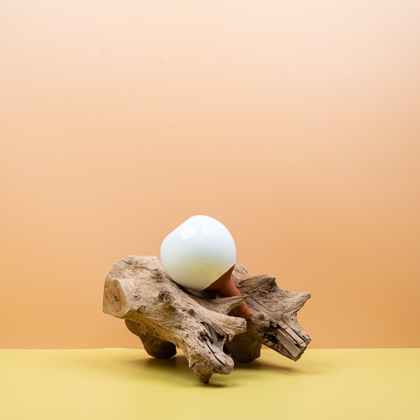 SELBSTBEWÄSSERUNG - LUTTON OLLA WEISS online bestellen bei potflourri