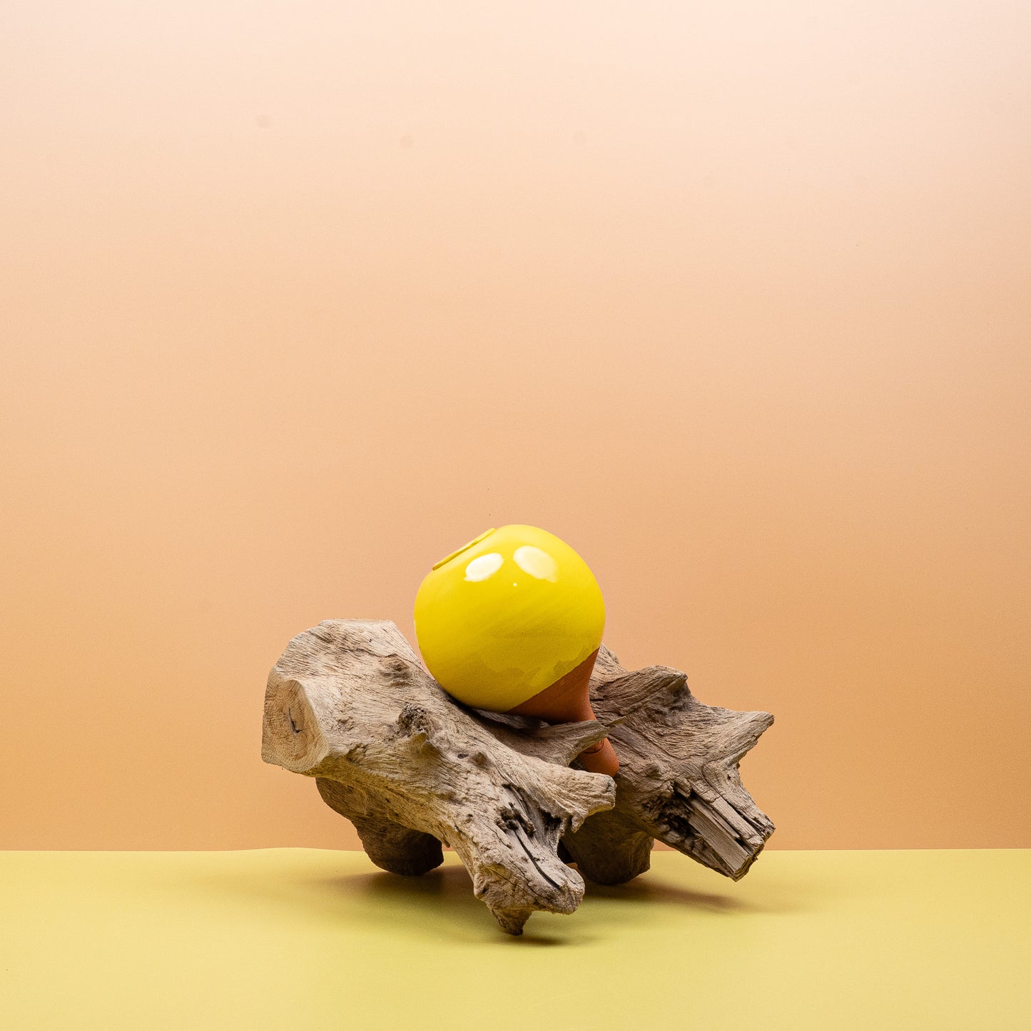 SELBSTBEWÄSSERUNG - LUTTON OLLA ZITRONENGELB online bestellen bei potflourri