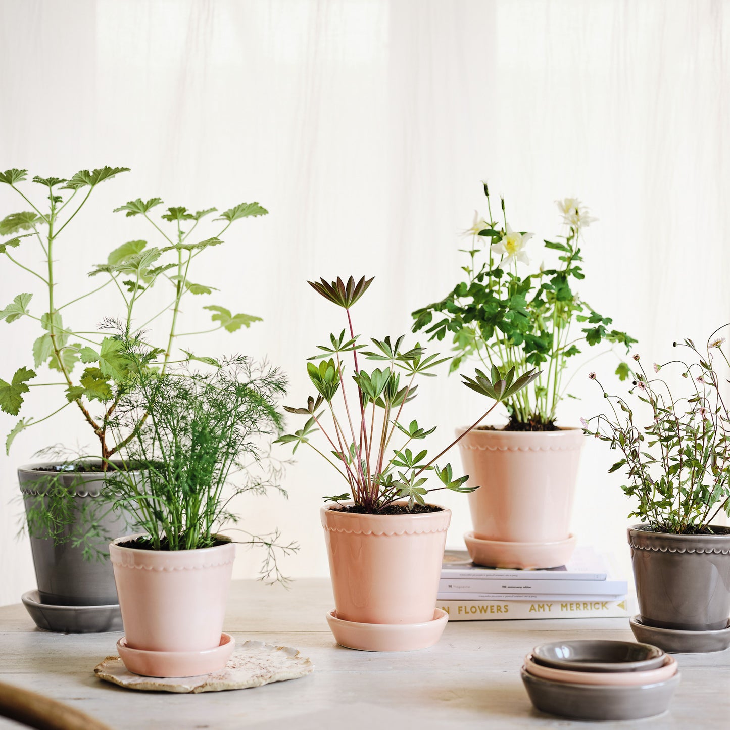 ÜBERTOPF BERGS HELENA online bestellen bei potflourri