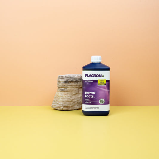 Wurzelstimulator Plagron Power Roots – potflourri