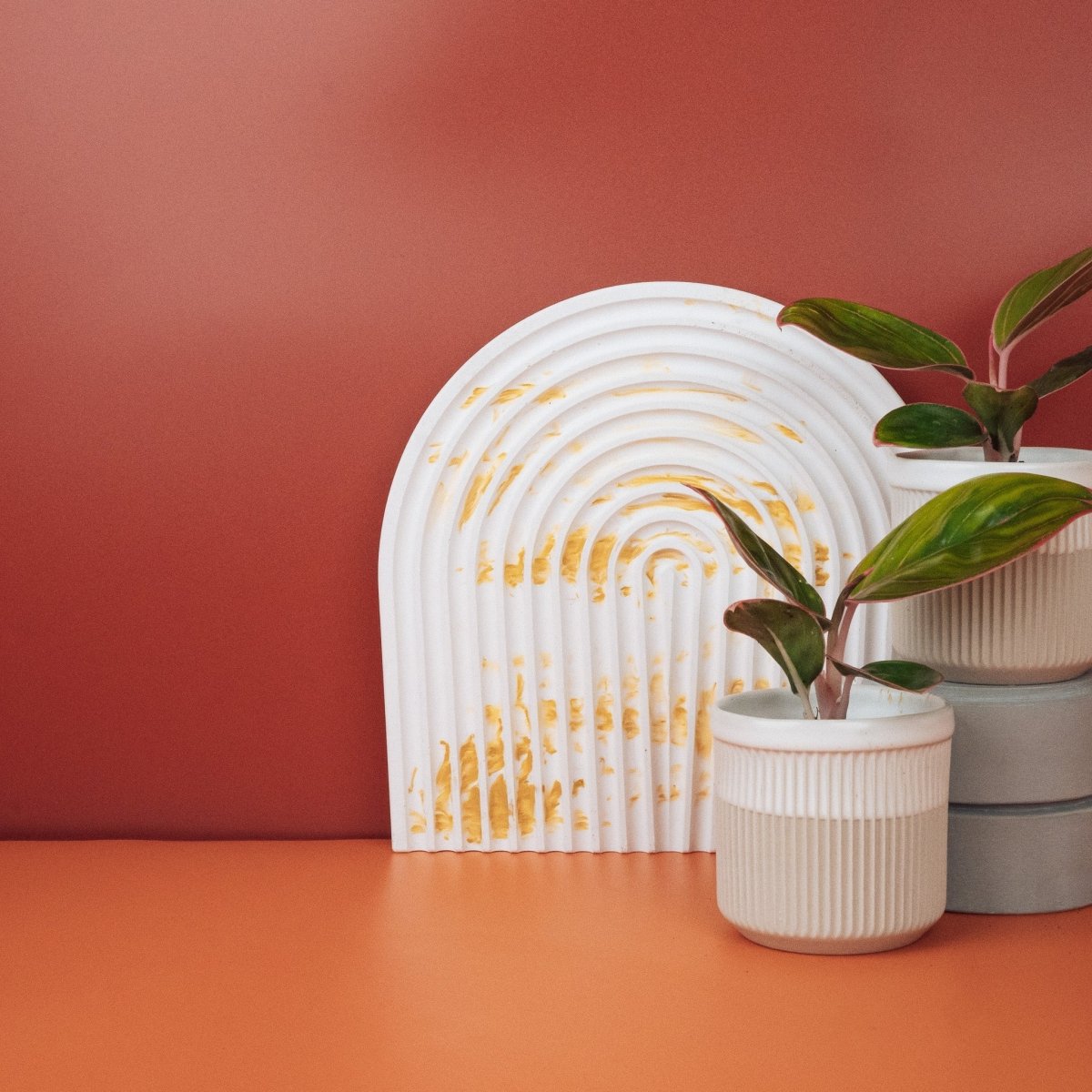 AGLAONEMA RED LIPSTICK online bestellen bei potflourri