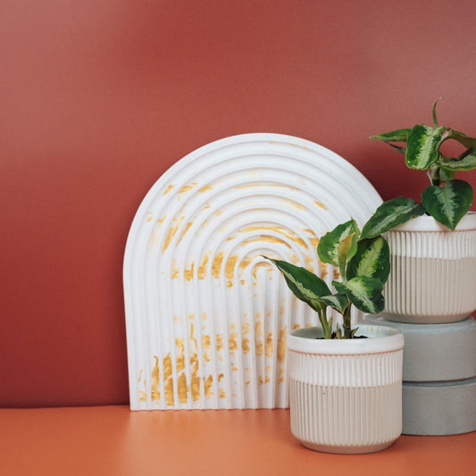Aglaonema Tricolor, Blattmuster aus mehreren Grüntönen – potflourri