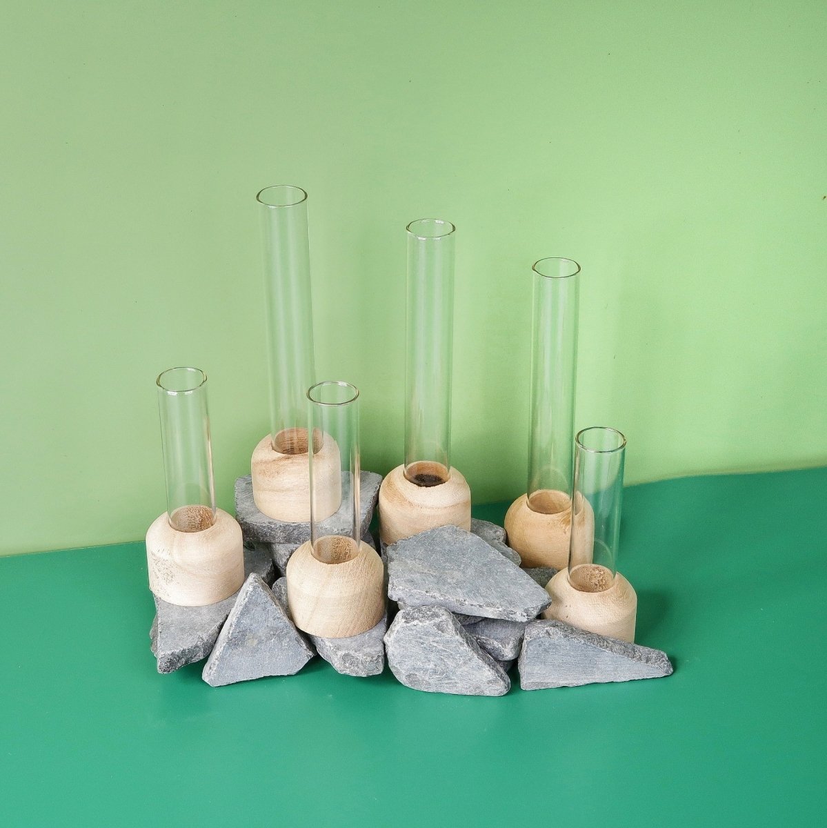 ANZUCHTSTATION ALKMAAR online bestellen bei potflourri