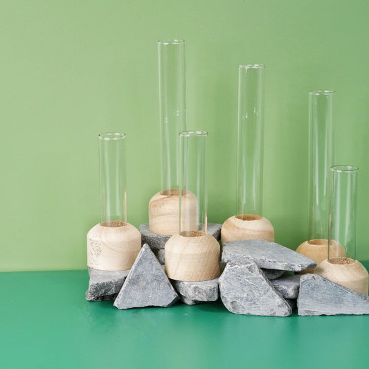 Anzuchtstation Alkmaar mit Reagenzglas und Holzsockel – potflourri