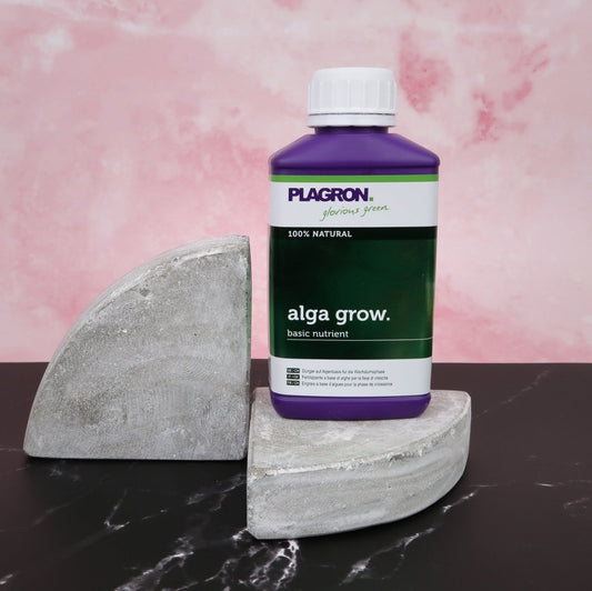 Dünger Plagron Alga Grow – organischer Basisdünger – potflourri