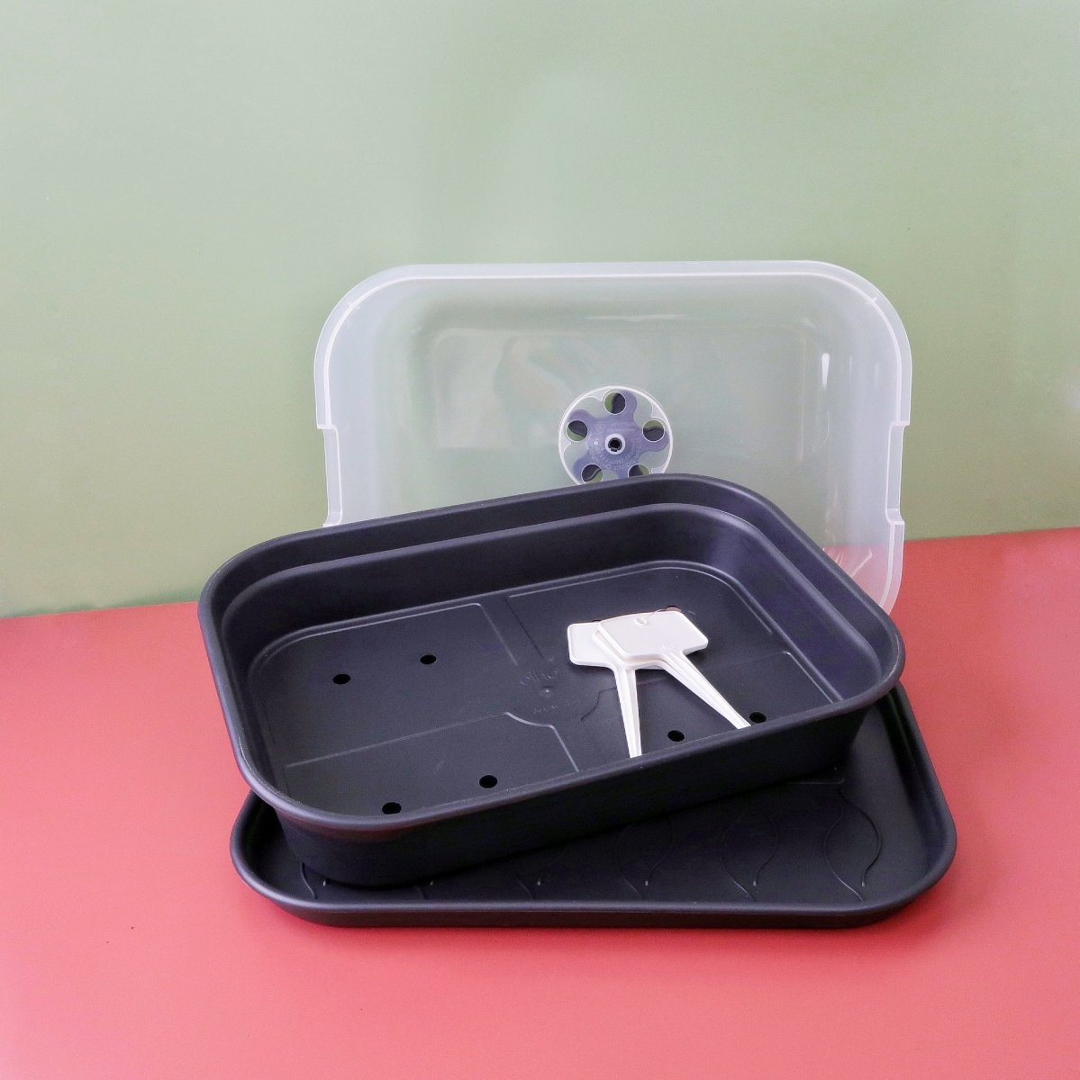 GEWÄCHSHAUS - ELHO GREEN BASIC SET online bestellen bei potflourri