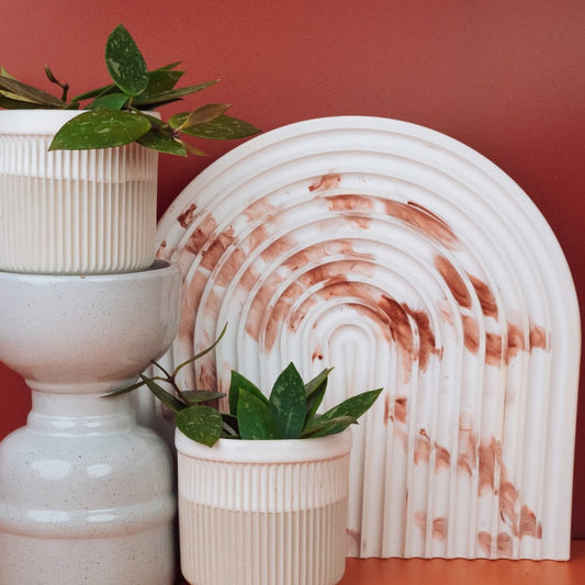 HOYA GRACILIS online bestellen bei potflourri