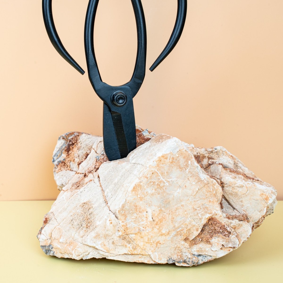 METALLSCHERE RETRO SCHWARZ - BOTANG online bestellen bei potflourri