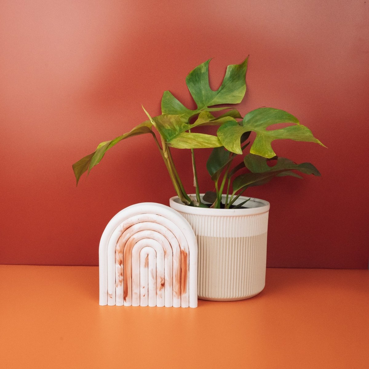 pink monstera kaufen MONSTERA MINIMA VARIEGATA online kaufen bei potflourri