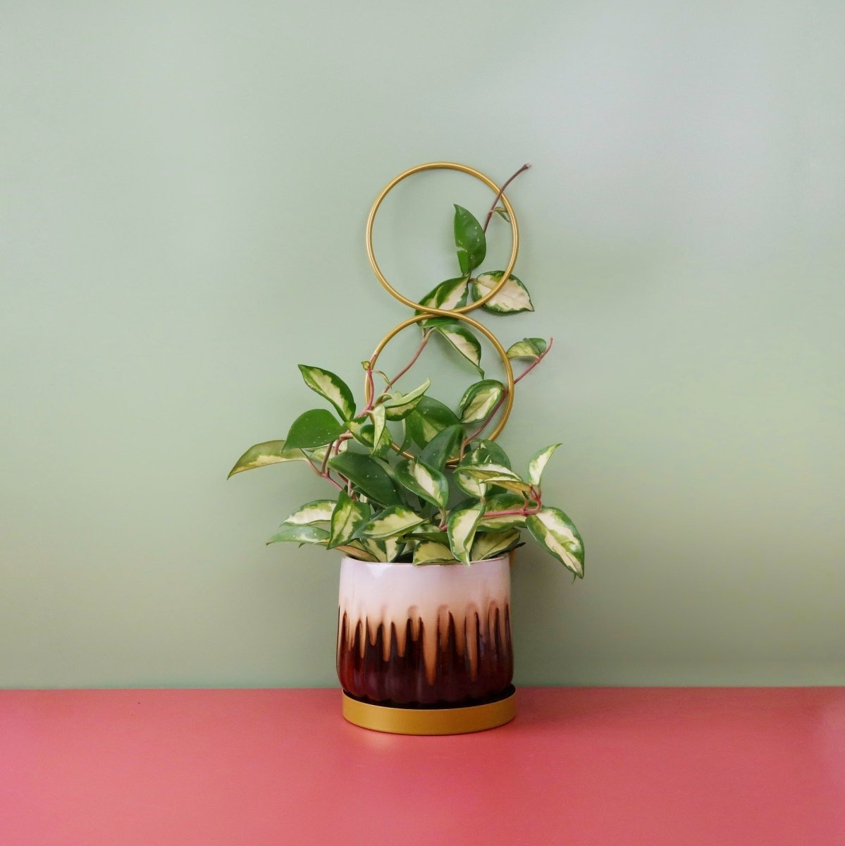 PFLANZENSTÜTZE - ESSCHERT GEO STAND GOLD online bestellen bei potflourri