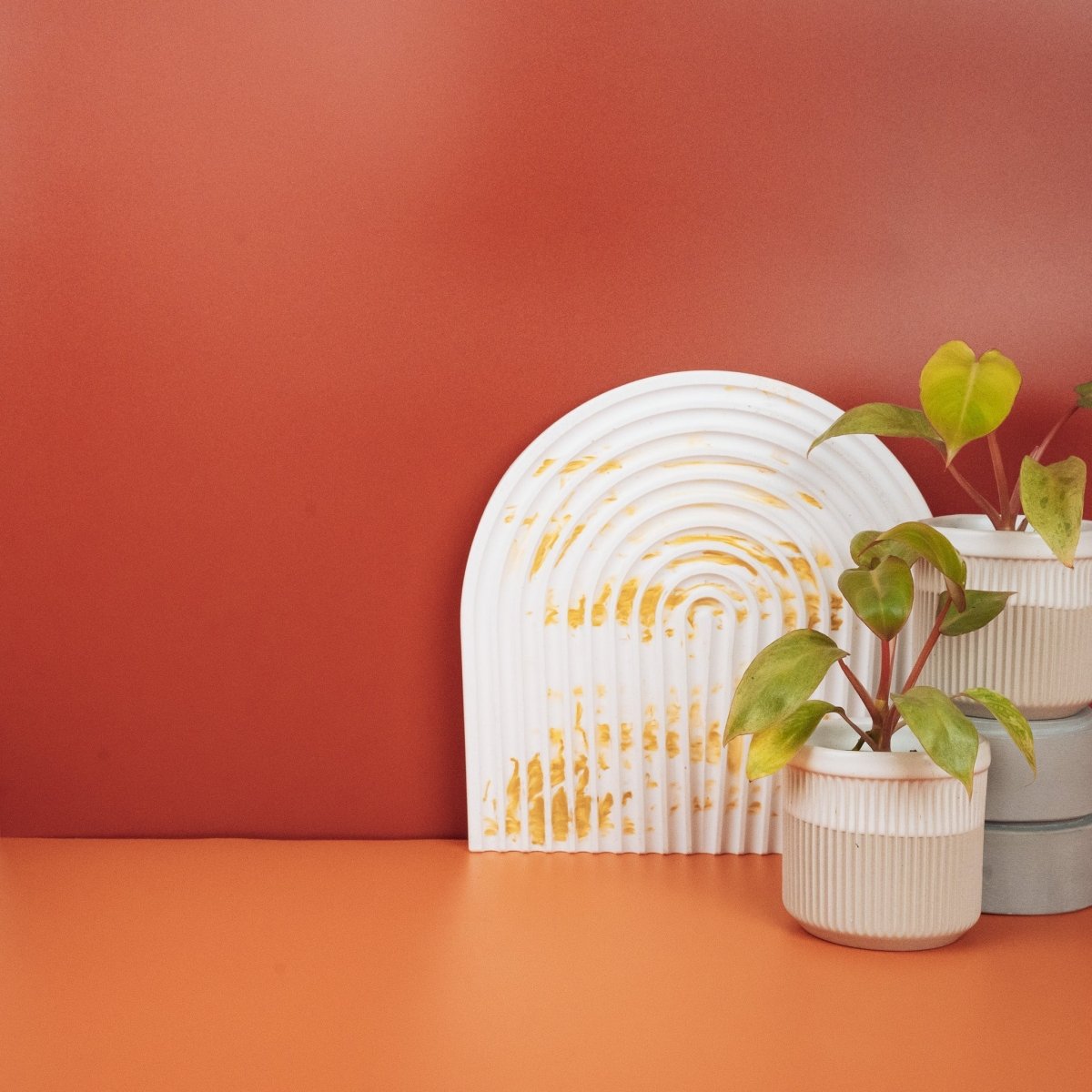 PHILODENDRON PARAISO VERDE online bestellen bei potflourri