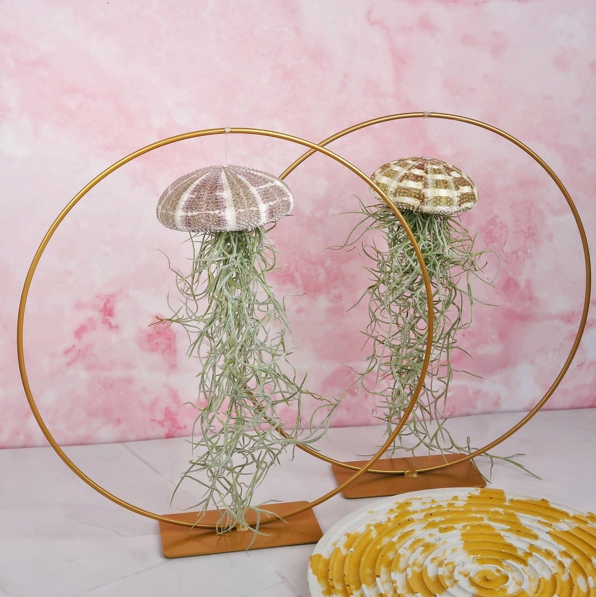 TILLANDSIA USNEOIDES - NATUR online bestellen bei potflourri