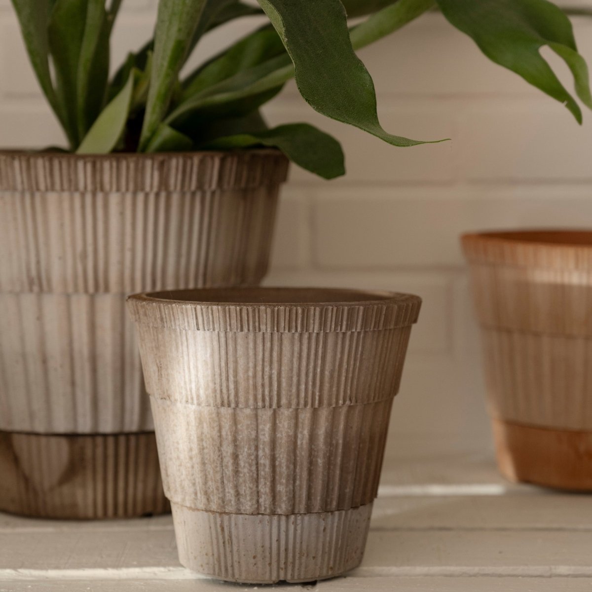 ÜBERTOPF BERGS ATLAS online bestellen bei potflourri