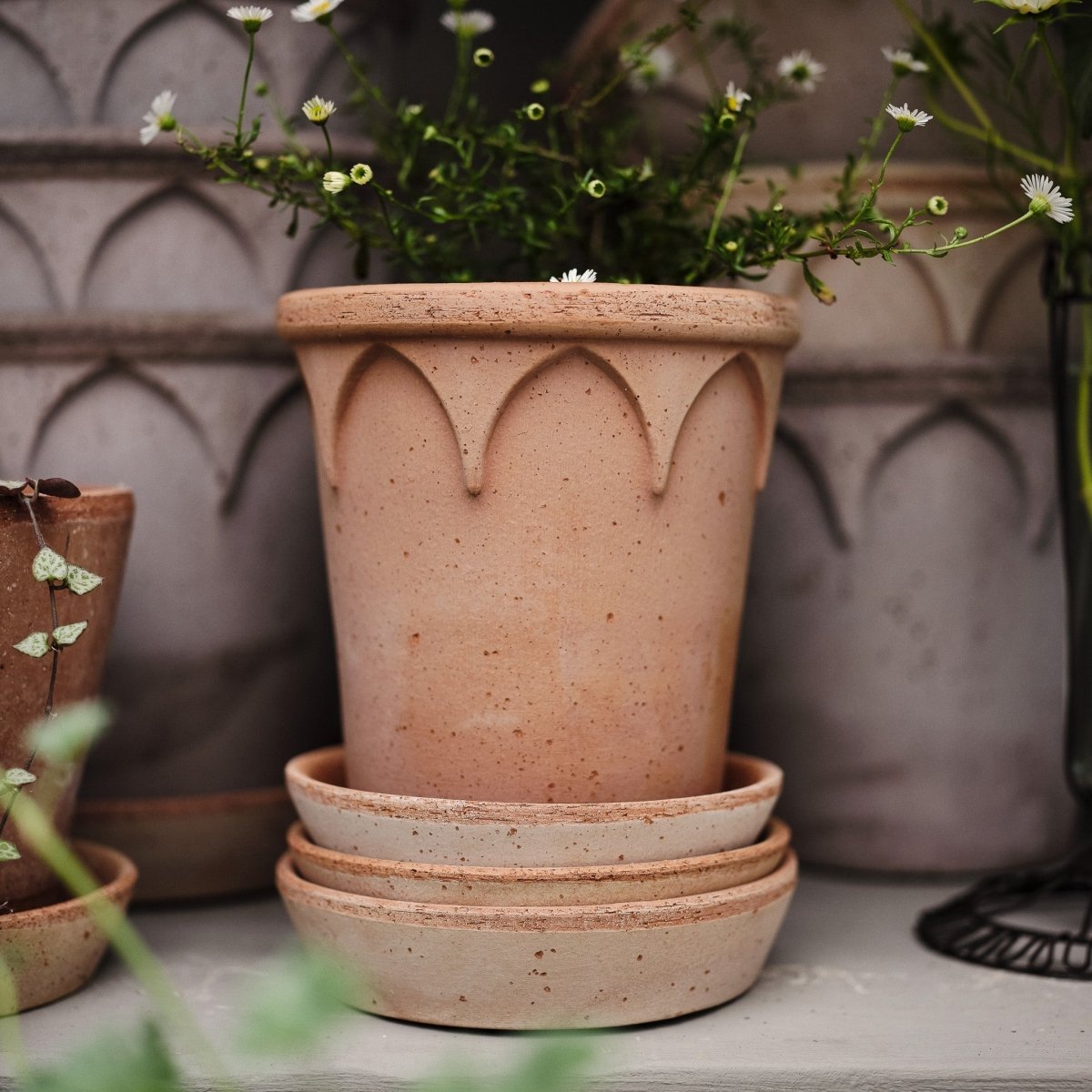 ÜBERTOPF BERGS ELIZABETH / 12.0cm / 14.0cm online bestellen bei potflourri