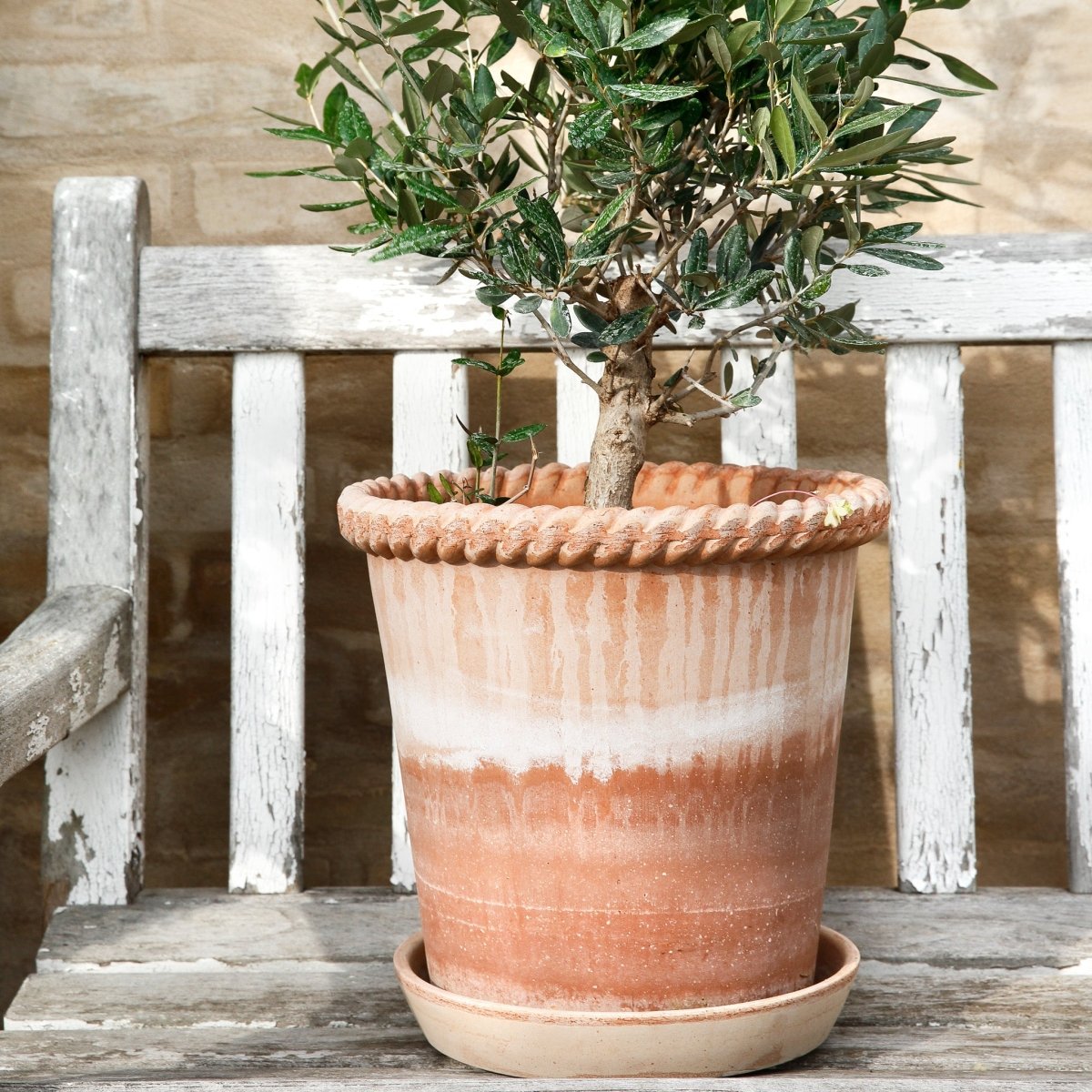 ÜBERTOPF BERGS EMILIA online bestellen bei potflourri