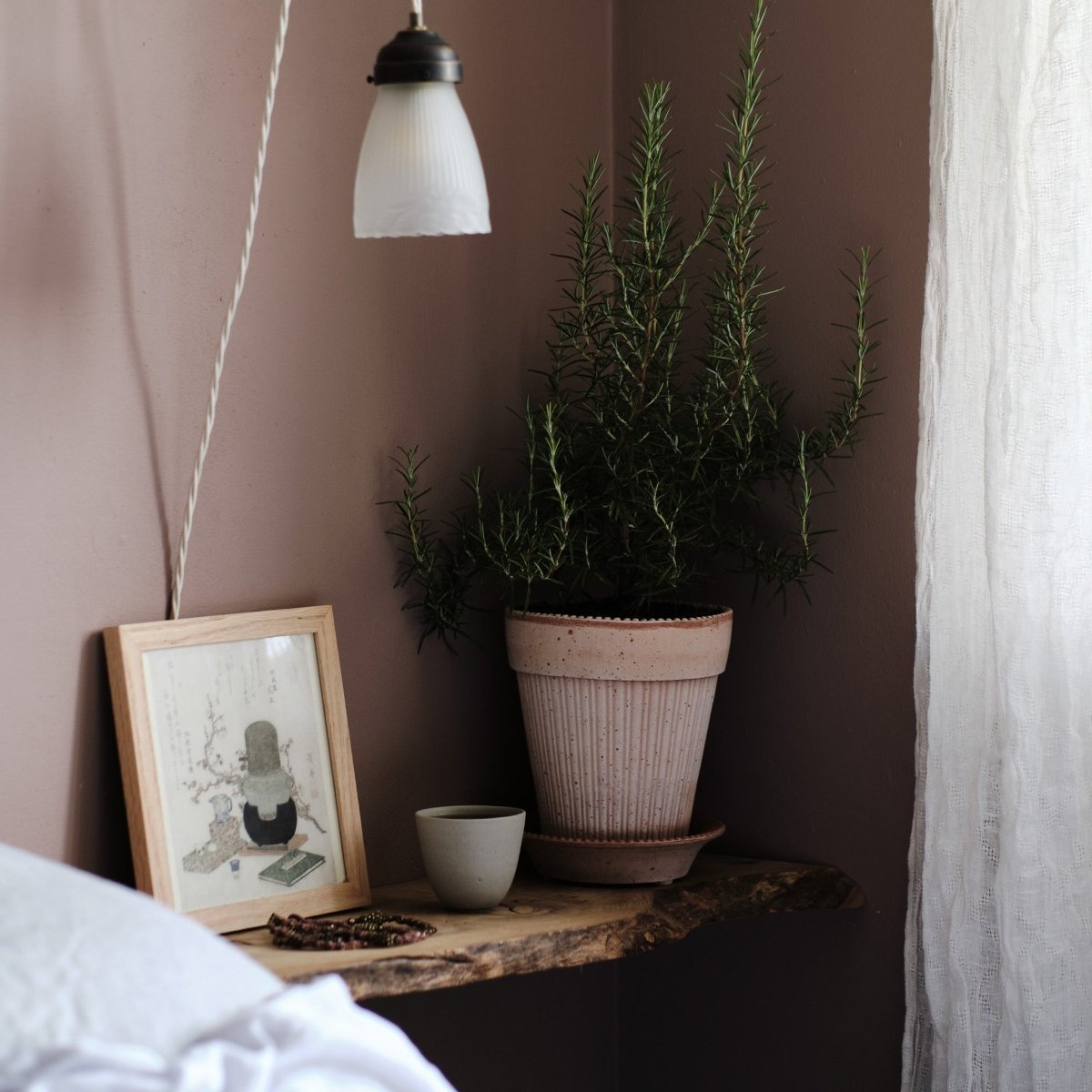 ÜBERTOPF BERGS SIMONA / 12.0cm / 14.0cm online bestellen bei potflourri