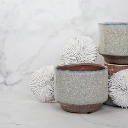 ÜBERTOPF ESCALLES / 11.0cm online bestellen bei potflourri