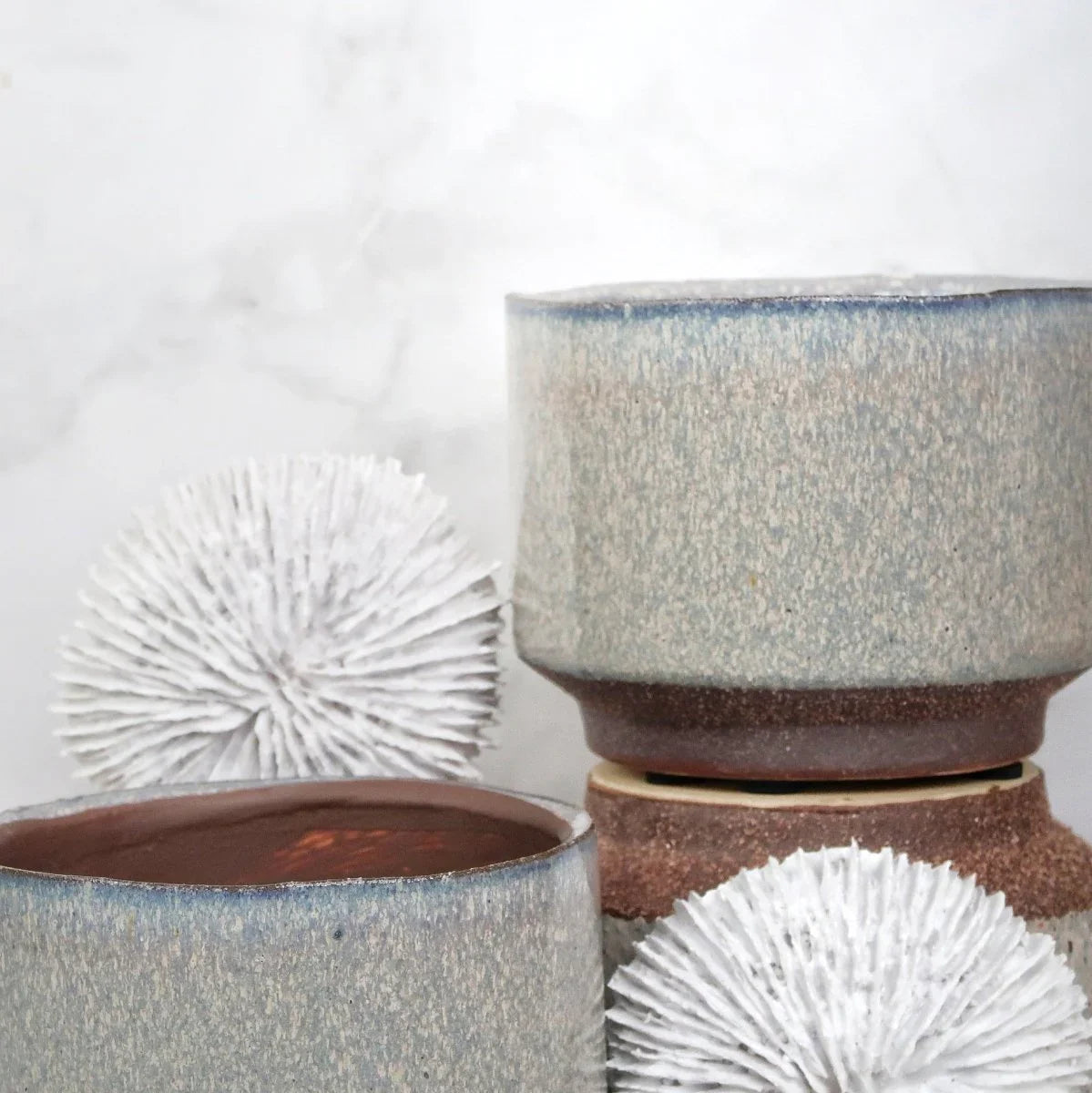 ÜBERTOPF ESCALLES / 11.0cm online bestellen bei potflourri