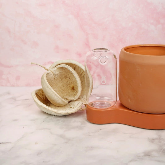 ÜBERTOPF GRANADA / 11.0cm online bestellen bei potflourri