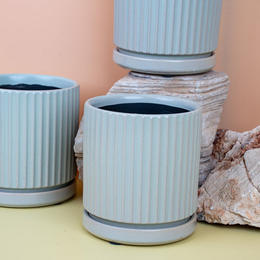 ÜBERTOPF LODS / 6.0cm / 9.0cm / 12.0cm / 15.0cm online bestellen bei potflourri