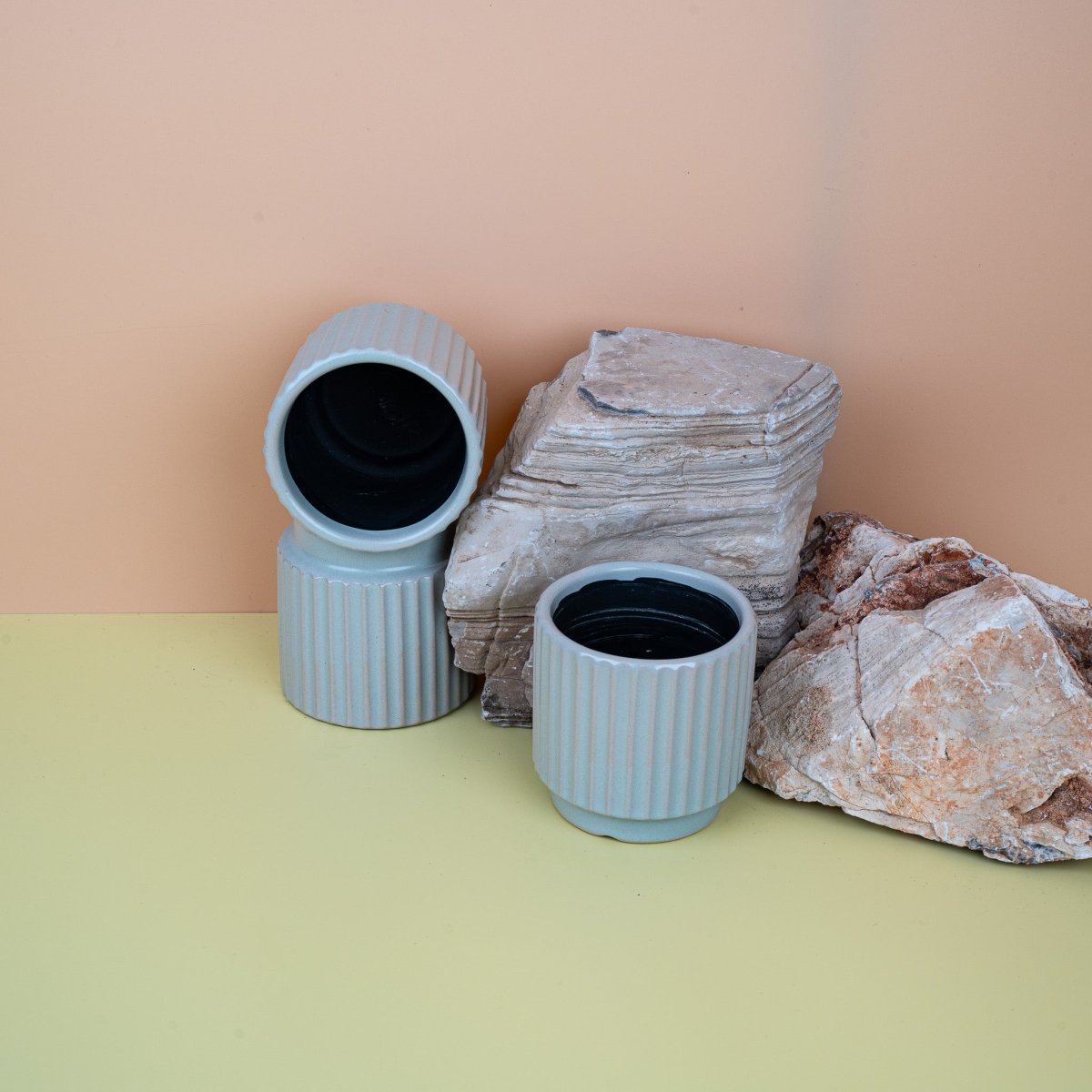 ÜBERTOPF LODS / 6.0cm / 9.0cm / 12.0cm / 15.0cm online bestellen bei potflourri