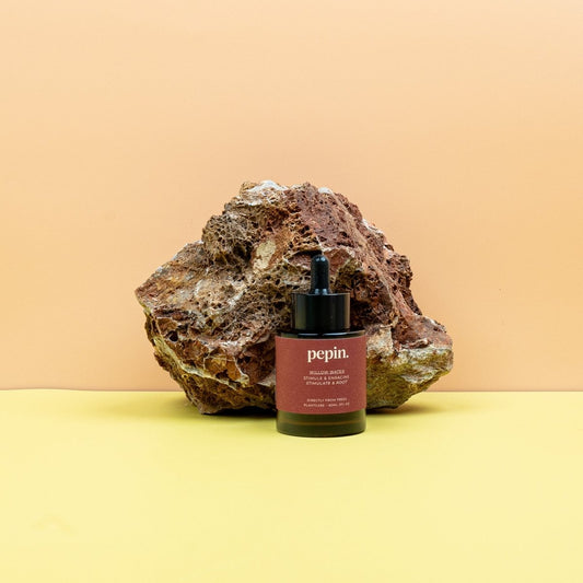 Wurzelstimulator Pepin Weidenwasser, vegane Formel – potflourri