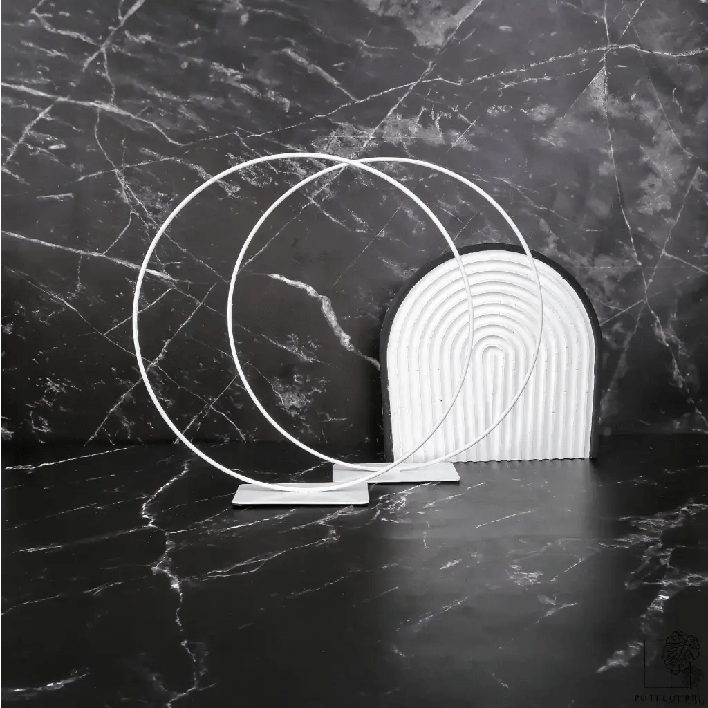 AIRPLANT HOLDER - RING WHITE - potflourri