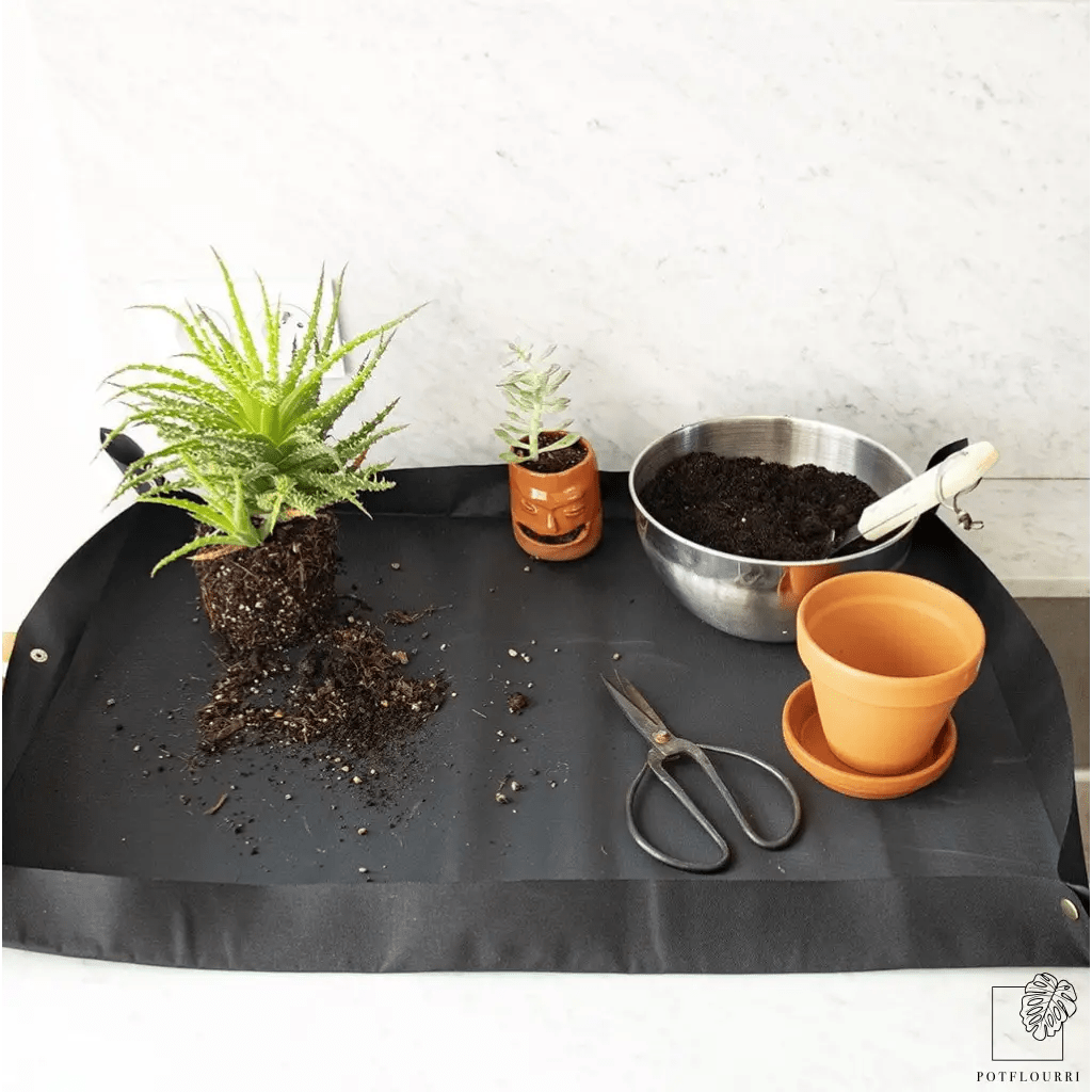 PFLANZMATTE - BOTANOPIA - potflourri