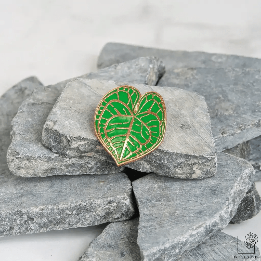 PLANTPIN - METALL online bestellen bei potflourri