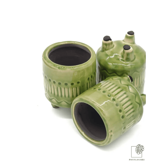 ÜBERTOPF CARACARA / 5.5cm online bestellen bei potflourri