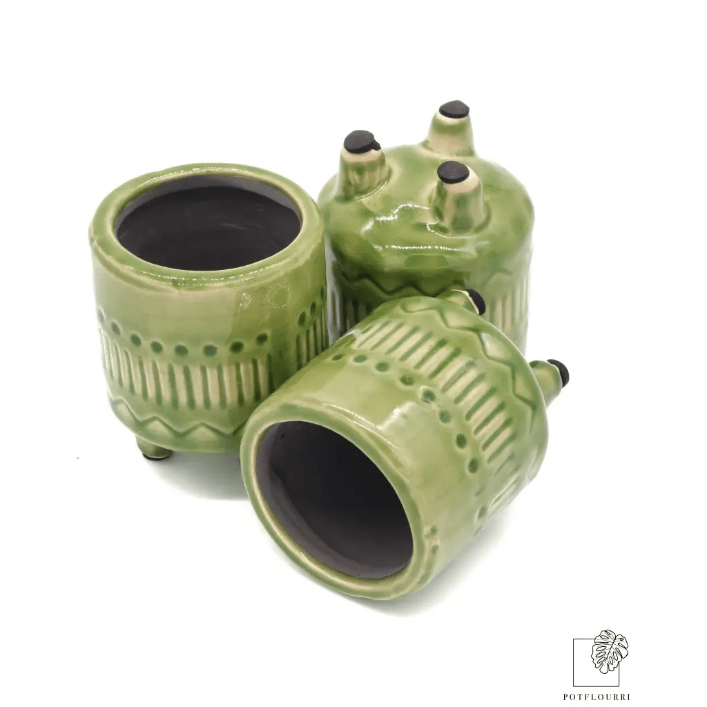 ÜBERTOPF CARACARA / 5.5cm online bestellen bei potflourri