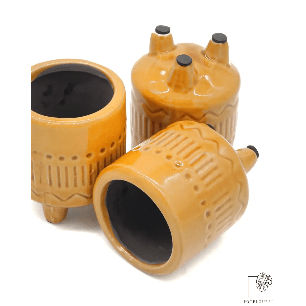 ÜBERTOPF CARACAS / 5.5cm online bestellen bei potflourri