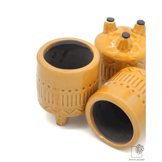 ÜBERTOPF CARACAS / 5.5cm online bestellen bei potflourri