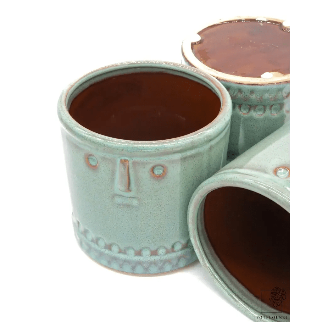 ÜBERTOPF GUADALAJARA / 11.0cm online bestellen bei potflourri