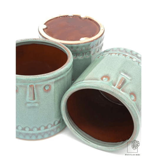 ÜBERTOPF GUADALAJARA / 11.0cm online bestellen bei potflourri