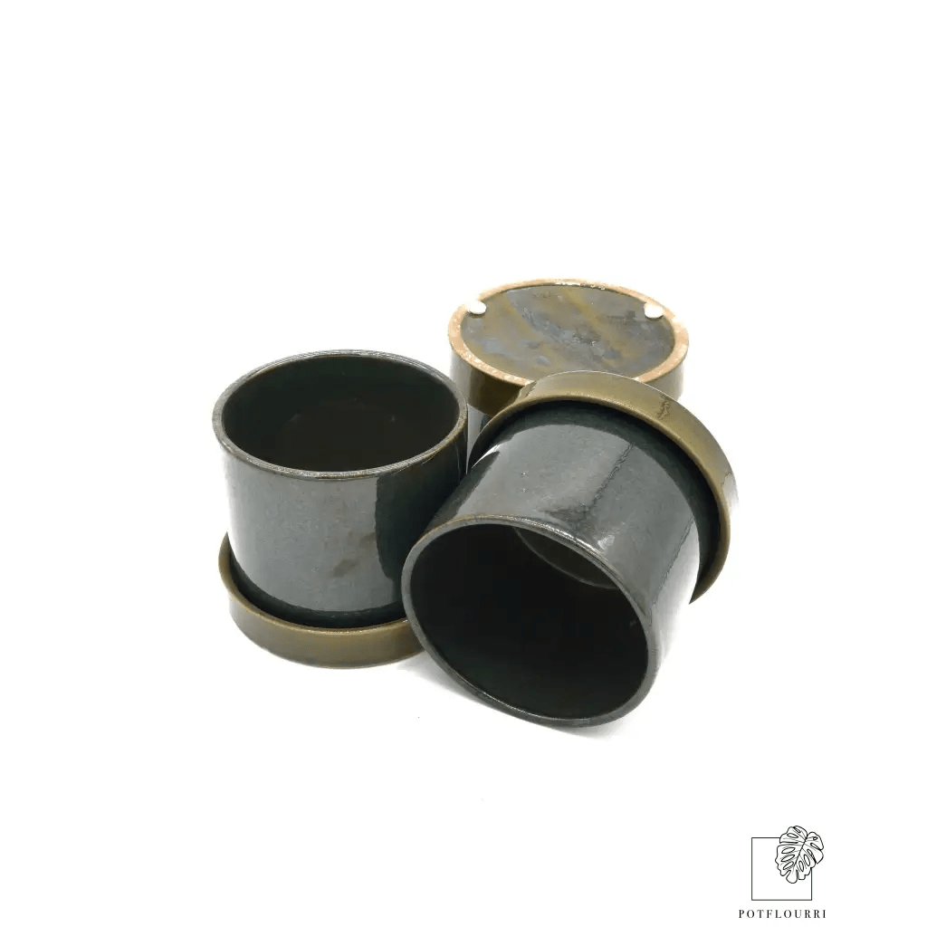 ÜBERTOPF HADDINGTON / 11.0cm - potflourri