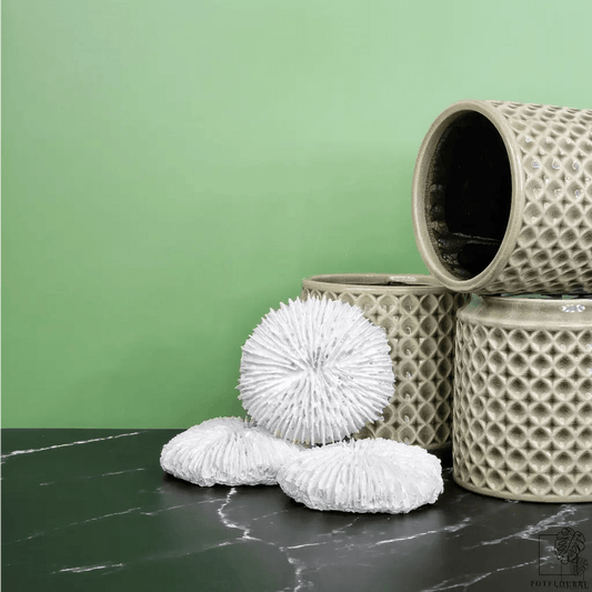 ÜBERTOPF NORFOLK / 9.0cm / 12.0cm online bestellen bei potflourri