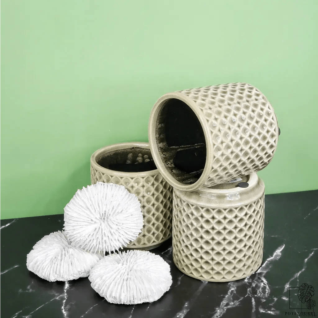 ÜBERTOPF NORFOLK / 9.0cm / 12.0cm online bestellen bei potflourri