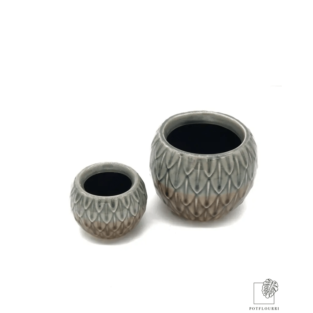 ÜBERTOPF OVIEDO / 6.0cm / 9.0cm - potflourri