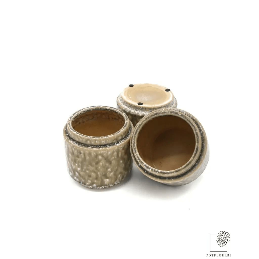 ÜBERTOPF SKAGEN / 9.0cm - potflourri