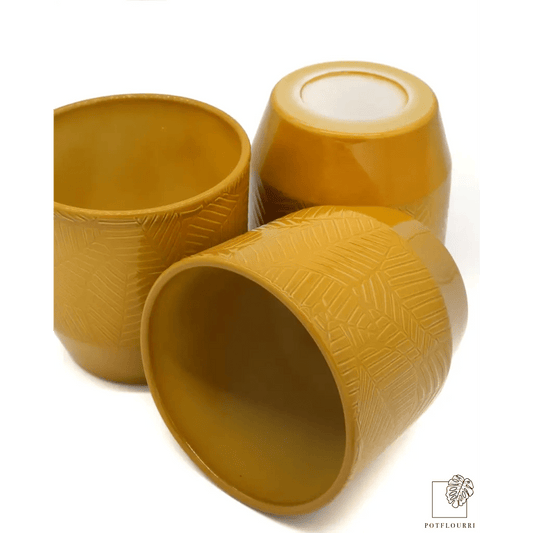 ÜBERTOPF TIJUANA / 12.0cm online bestellen bei potflourri