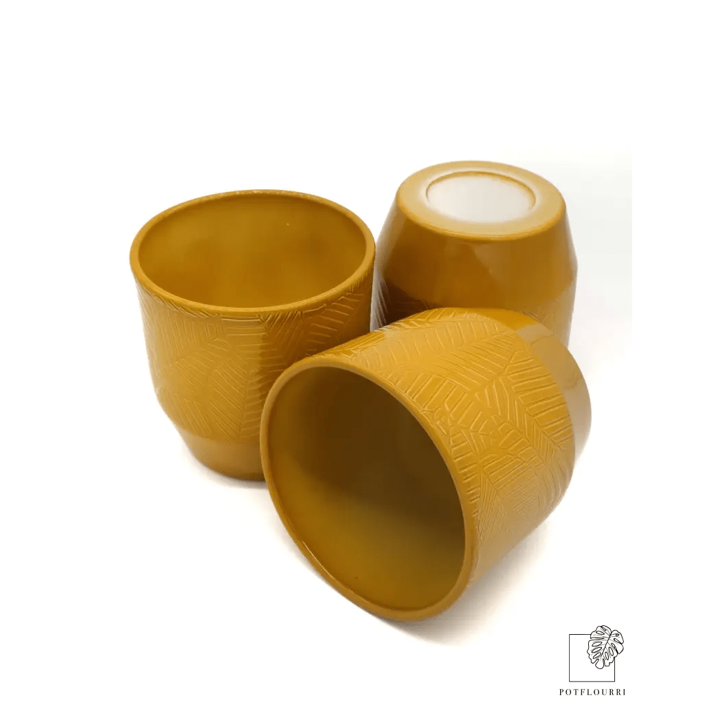 ÜBERTOPF TIJUANA / 12.0cm - potflourri