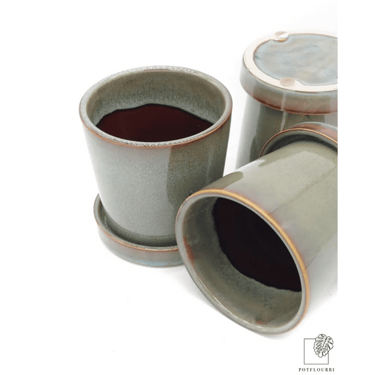 ÜBERTOPF TRALEE / 9.0cm online bestellen bei potflourri