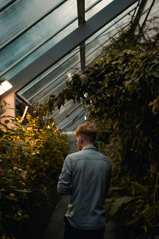 Spinnmilben bekämpfen 10 Tipps – potflourri