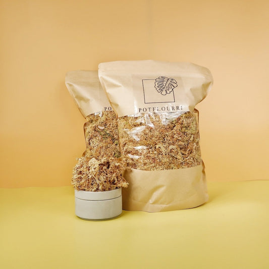 Sphagnum Moos Substrat – potflourri