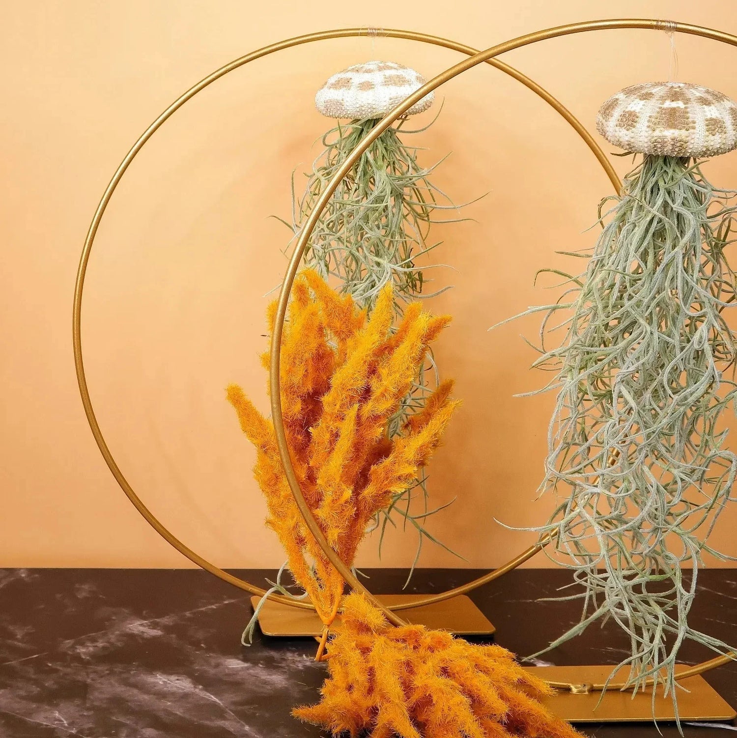 TILLANDSIA - potflourri